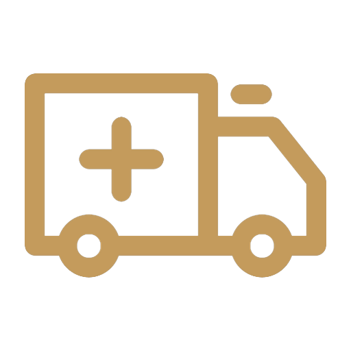 Ambulance icon